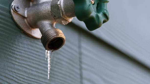 Best Plumbing Inspection Services  in Lucas, TX